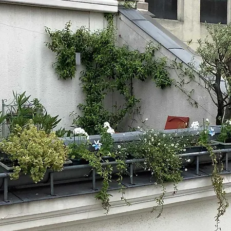 Magnificent Bohemian Chic With Terrace Apartmán Paříž